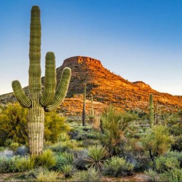 Meet your Posher, Nette - Picture 12 of 16